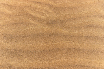 Fototapeta na wymiar Desert dunes sand texture background in Maspalomas Gran Canaria at Canary islands