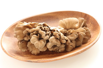 Japanese Maitake mushroom on wooden plate