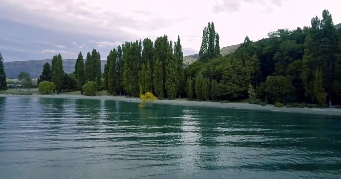 Aerial view of The Wanaka Tree, Lake Wanaka, Newzealand