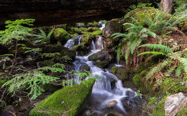 Ladder Creek Falls, North Cascades National Park - Washington U.S.A