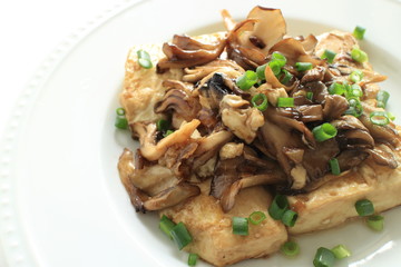Pan fried Tofu and Maitake mushroom stir fried on top