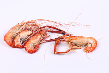 Streamed large fresh prawns isolated on white background