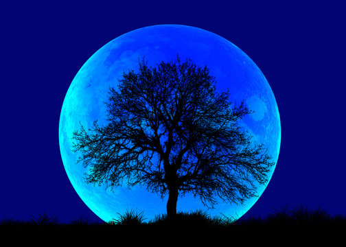Lone Tree with blue Moon - "Elements of this Image Furnished by NASA"