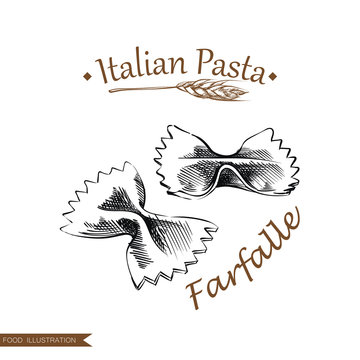 Hand drawn farfalle pasta isolated on white background. Italian pasta sketch style vector illustrator.