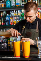 The bartender making cocktail