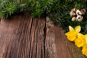 Wooden background with Easter eggs and daffodils.