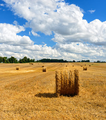 Stoppelfeld mit Strohballen, Sommerlandschaft unter blauem Himmel