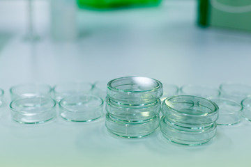 petri dish small on table.