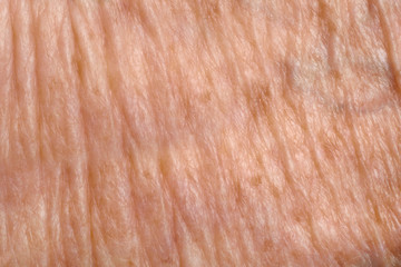 Detail of texture skin, senior woman,arm