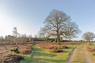 Obraz premium Bratley View