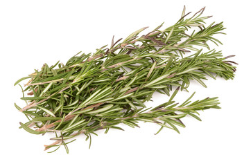 rosemary on white background