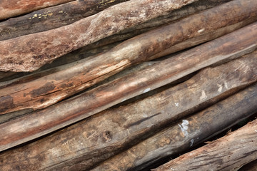 Tree logs as a background.