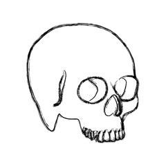 contour skeleton of the human skull icon, vector ilustraction design