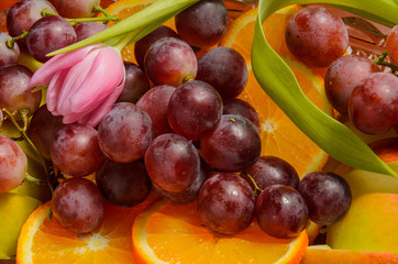 Fototapeta premium fruits and tulips