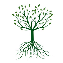 Fototapeta premium Green Tree with Leafs. Vector Illustration.