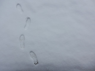 footprints in snow