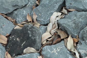 rocks