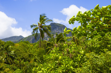 mountain Morne Blanc of the Seychelles, Island Mahé, coast at Beau Vallon