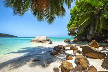Beach of the Seychelles, Island Mahé, Beach Anse a la Mouche - obrazy, fototapety, plakaty
