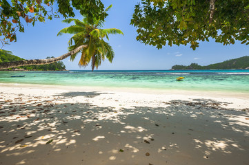 Beach of the Seychelles, Island Mahé, Bay Baie Lazare