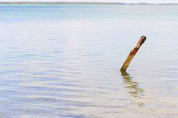 Pole in the Water