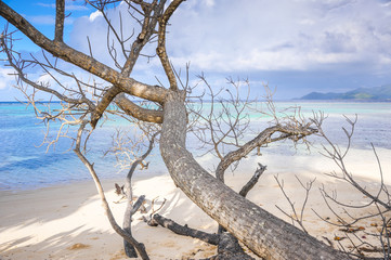 Beach of the Seychelles, Island La Digue, Beach Source d'Argent