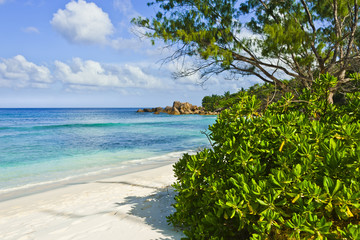 Fototapeta na wymiar Beach of the Seychelles, Island La Digue, Beach Anse Cocos
