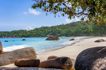 Beach of the Seychelles, Island Praslin, Beach Anse Lazio