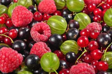Various kinds of fresh berries close up as background