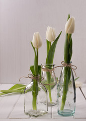 Three glass bottles with tulips in minimalistic.