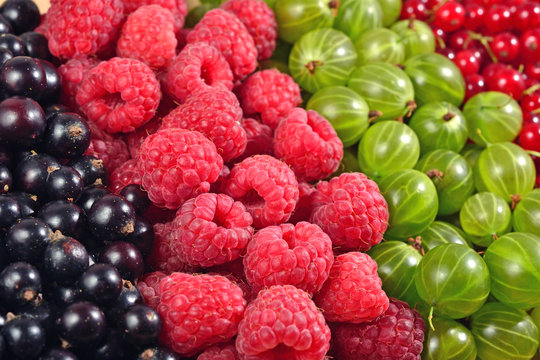 Various kinds of fresh berries close up as background