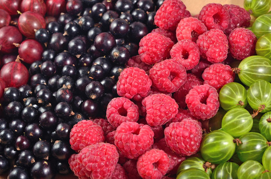 Various kinds of fresh berries close up as background