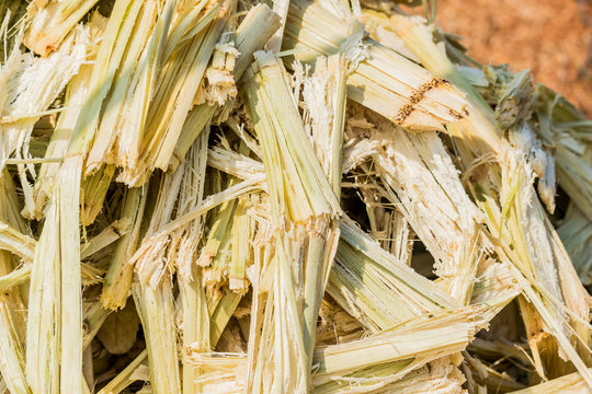 Close up stack bagasse of sugarcane