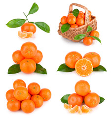Set of fresh mandarin fruits with leaves