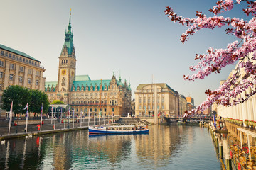 Hamburg townhall and Alster river at spring - obrazy, fototapety, plakaty