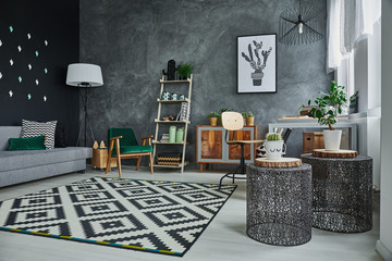 Apartment with sofa nad commode
