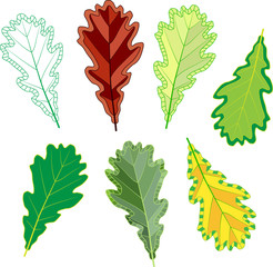 colorful mosaic oak leaves. isolated. easy to modify. vector illustration.