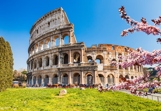 Colosseum at spring in Rome, Italy