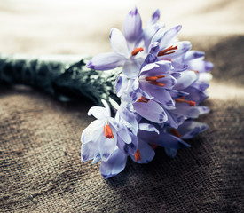 spring flowers bouquet at fabric texture