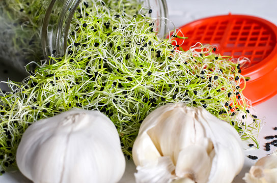 Food, healthy eating, Sprouts, garlic sprouts.