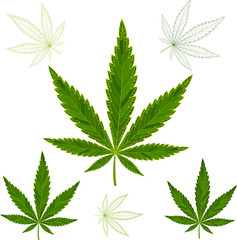 colorful mosaic cannabis leaves. isolated. easy to modify. vector illustration.