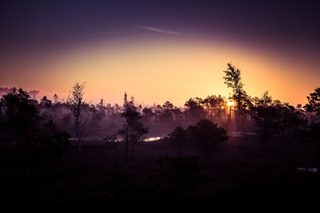 Fototapeta premium A beautiful, artistic, colorful morning landscape of a North European swamp