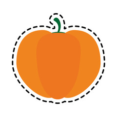pumpkin fruit icon image vector illustration design 