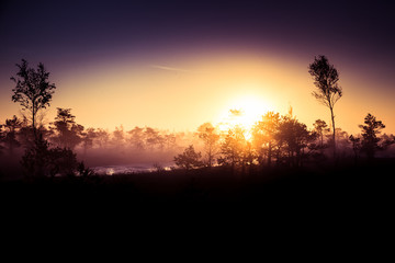 Fototapeta na wymiar A beautiful, artistic, colorful morning landscape of a North European swamp