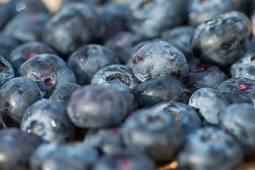 blueberry