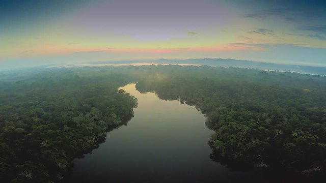 Aerial Shot of Amazon Rainforest 