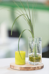 Festliche Tischdekoration für eine Hochzeitsfeier