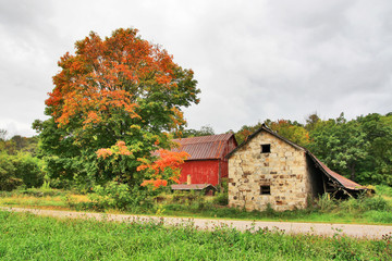 Agriculture and rural life background, autumn background. Fall rural landscape with a road and old abandoned farm buildings. Colorful autumn maple and cloudy sky. Horizontal composition.