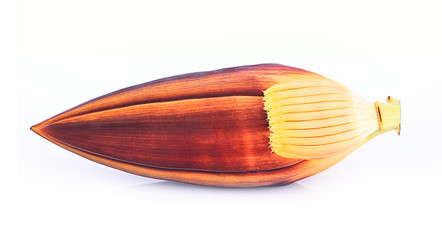 Blossom banana isolated on white background