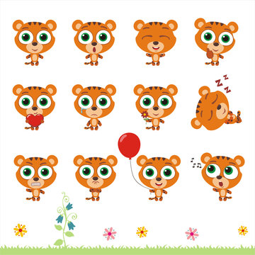 Big set cute little tiger. Collection isolated cartoon tiger in different poses.
